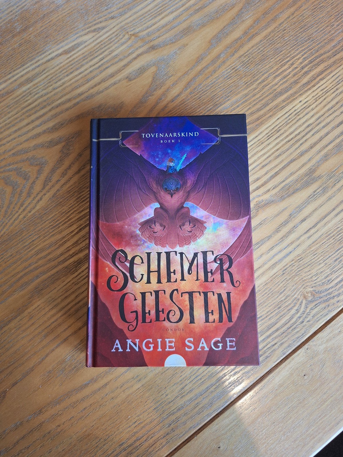Angie Sage - Schemergeesten, Boeken, Ophalen of Verzenden, Fictie, Angie Sage, Zo goed als nieuw