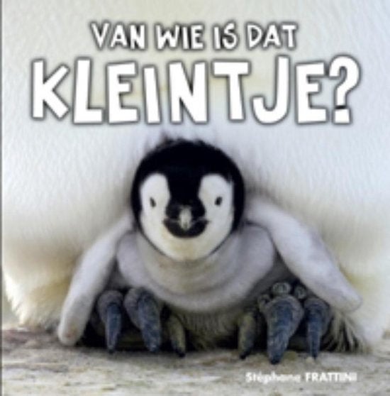 Stéphane Frattini - Van Wie Is Dat Kleintje? (Uitgave 2010)., Verzenden, Gelezen, Stéphane Frattini, Prentenboek