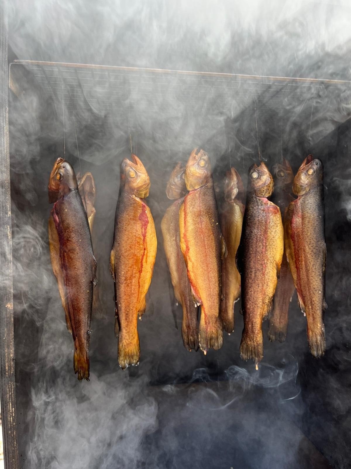 gerookte  forel, Diversen, Ophalen