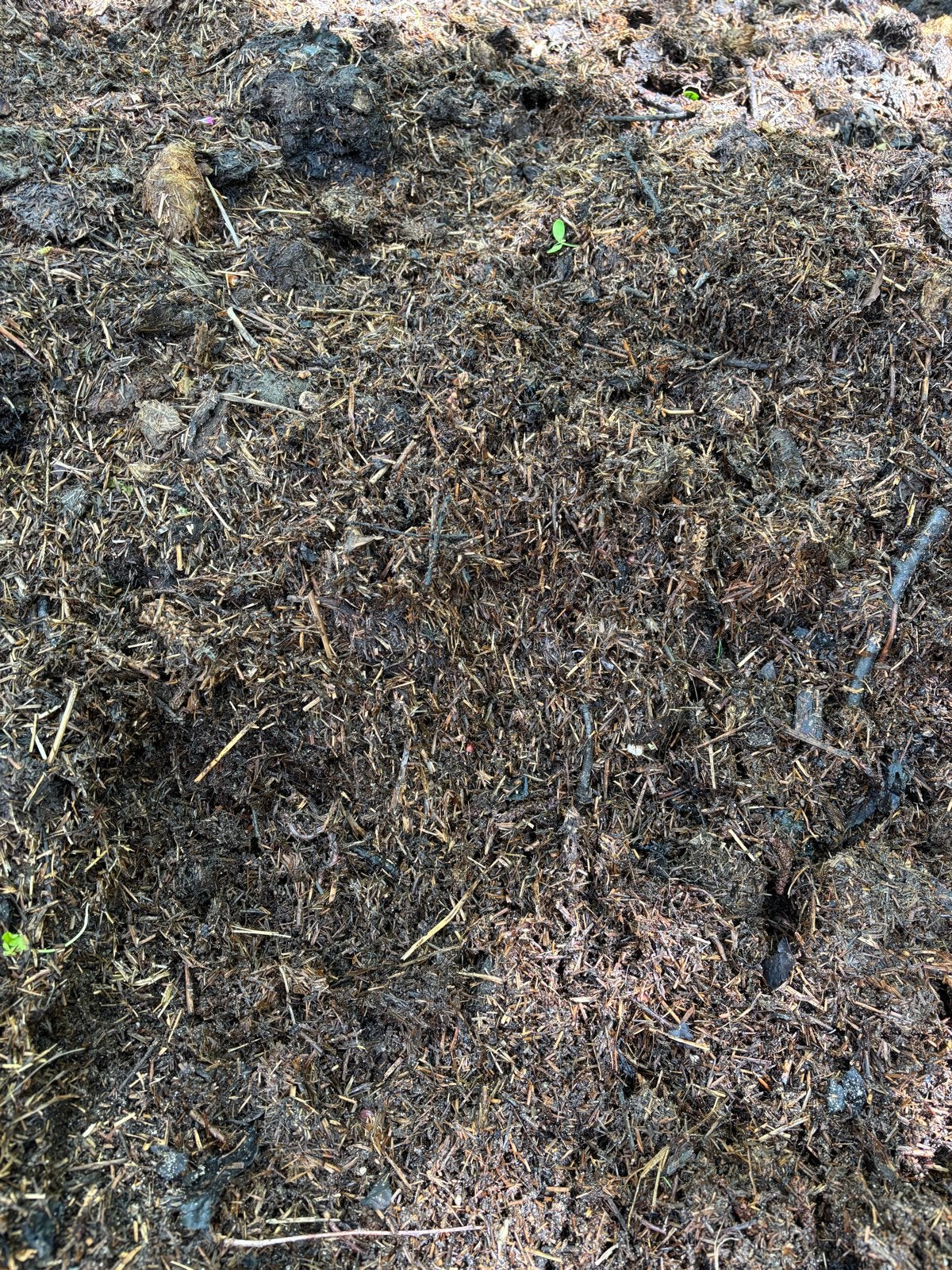 Gratis paardenmest (compost) voor uw tuin of weiland, Ophalen, Compost
