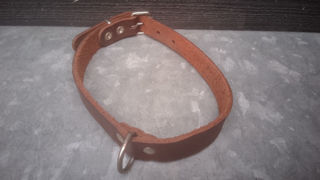 Leren Halsband, Ophalen of Verzenden, Gebruikt