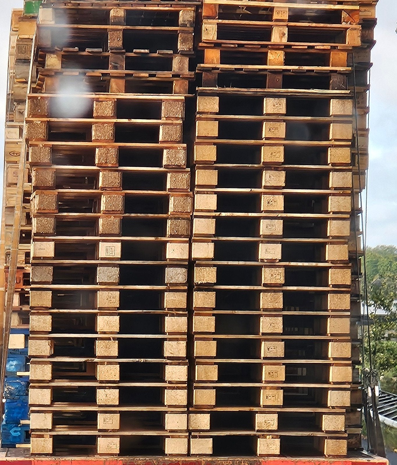 50 pallets, Ophalen of Verzenden, Overige houtsoorten, Minder dan 200 cm, Pallet