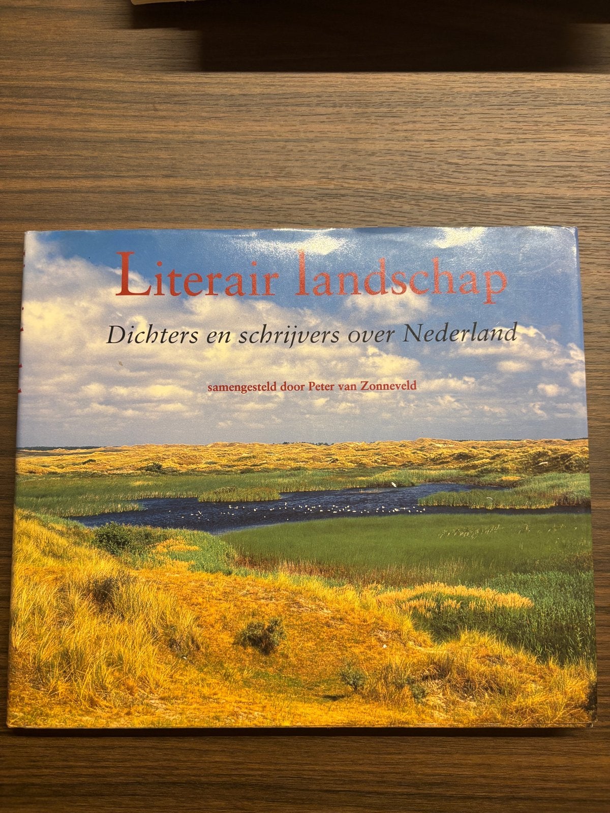 Literair Landschap: Dichters en schrijvers over Nederland, Ophalen of Verzenden, Zo goed als nieuw, Nederland