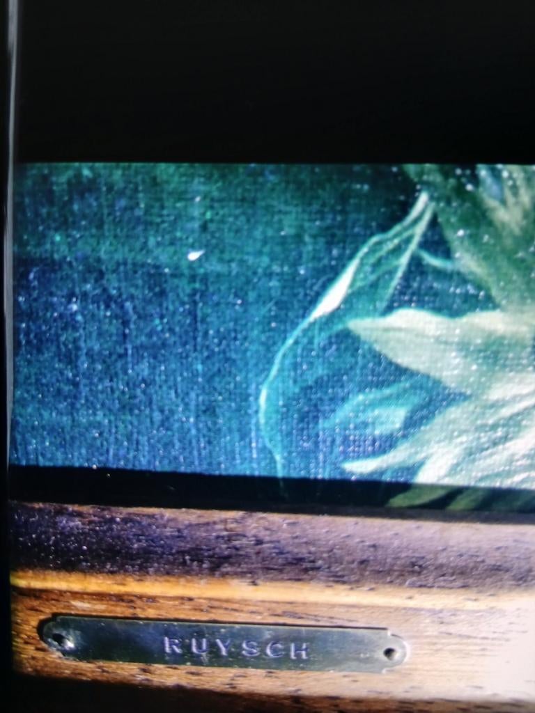 Bloemstilleven in de stijl van Ruysch, Antiek en Kunst, Kunst | Schilderijen | Klassiek, Ophalen