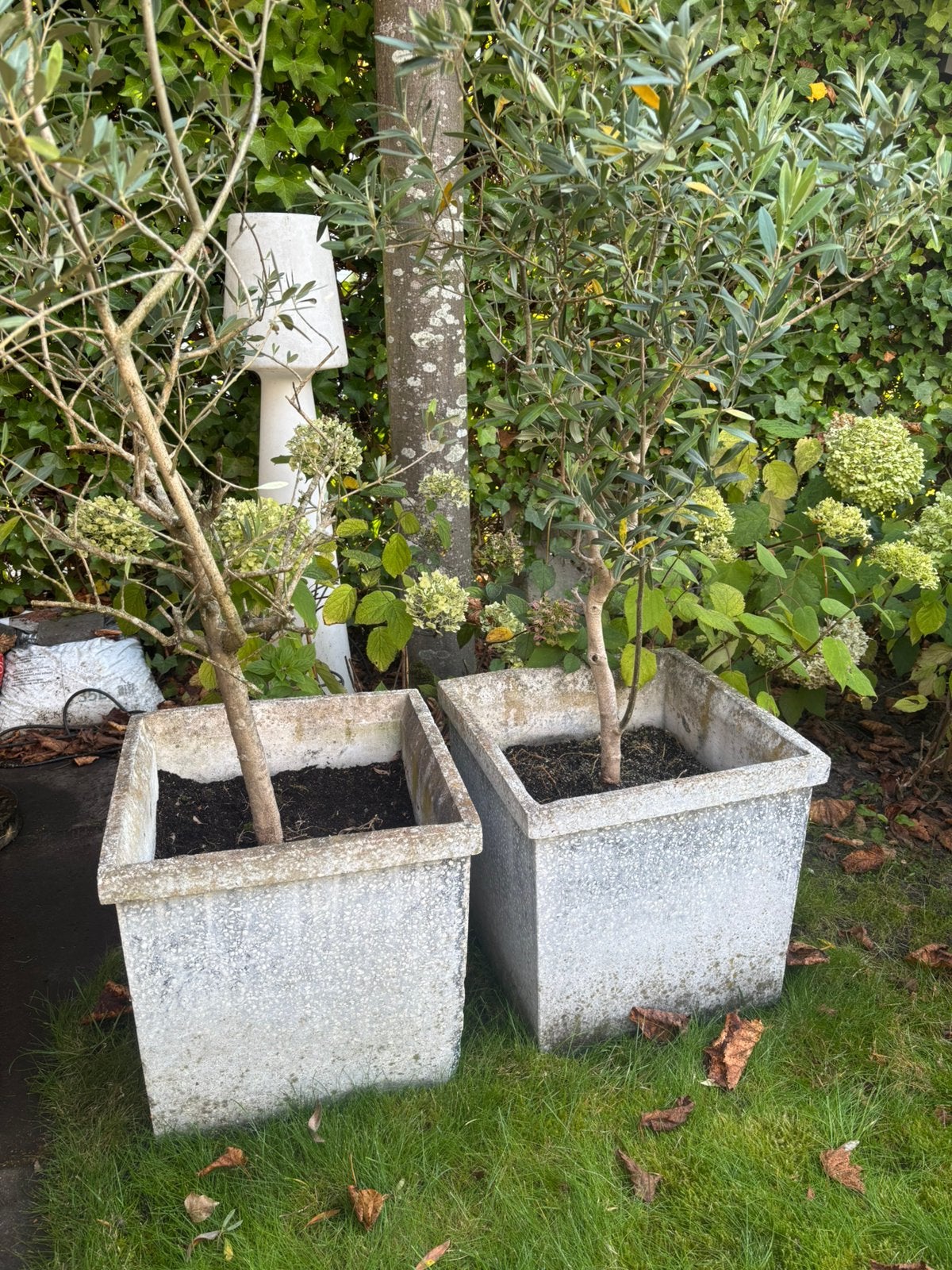 Betonnenplanten bakken 40x40, Tuin en Terras, Ophalen, Gebruikt, Minder dan 60 cm, Vierkant