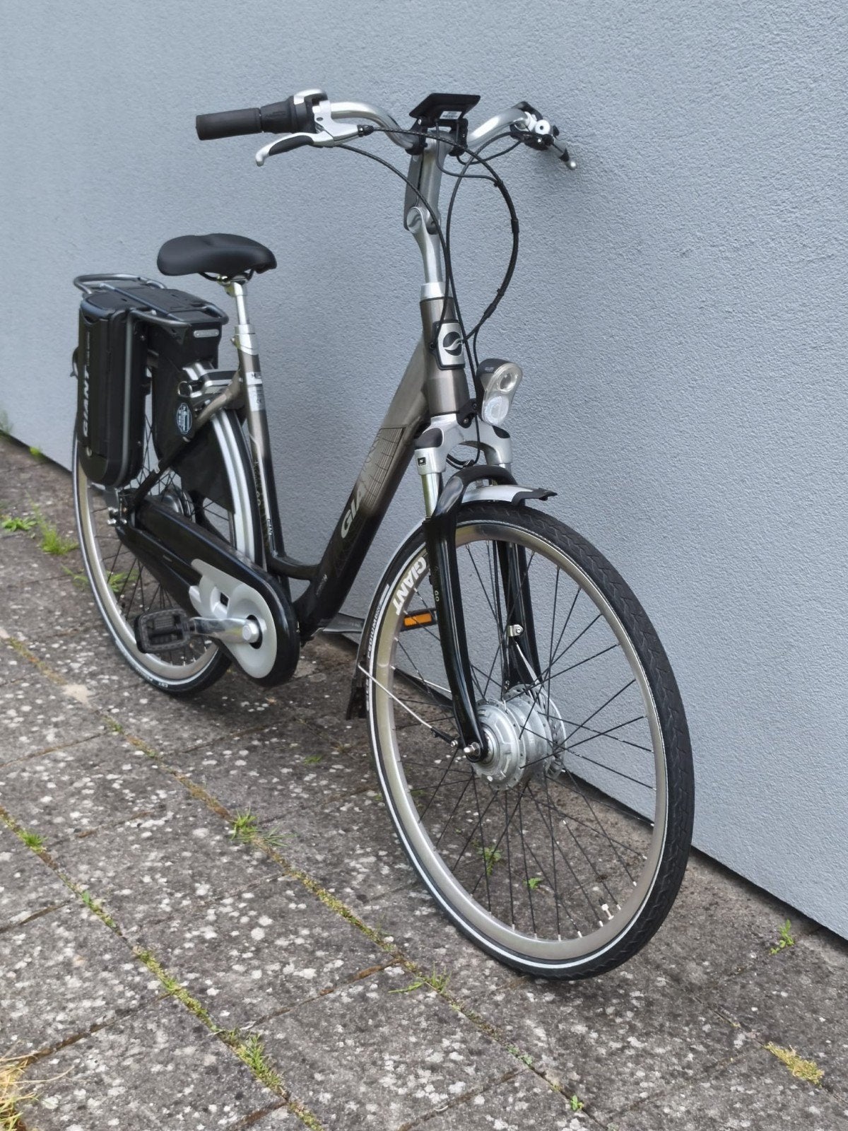 Giant Twist Go 36V – Dubbele Accu, Topstaat, Ophalen