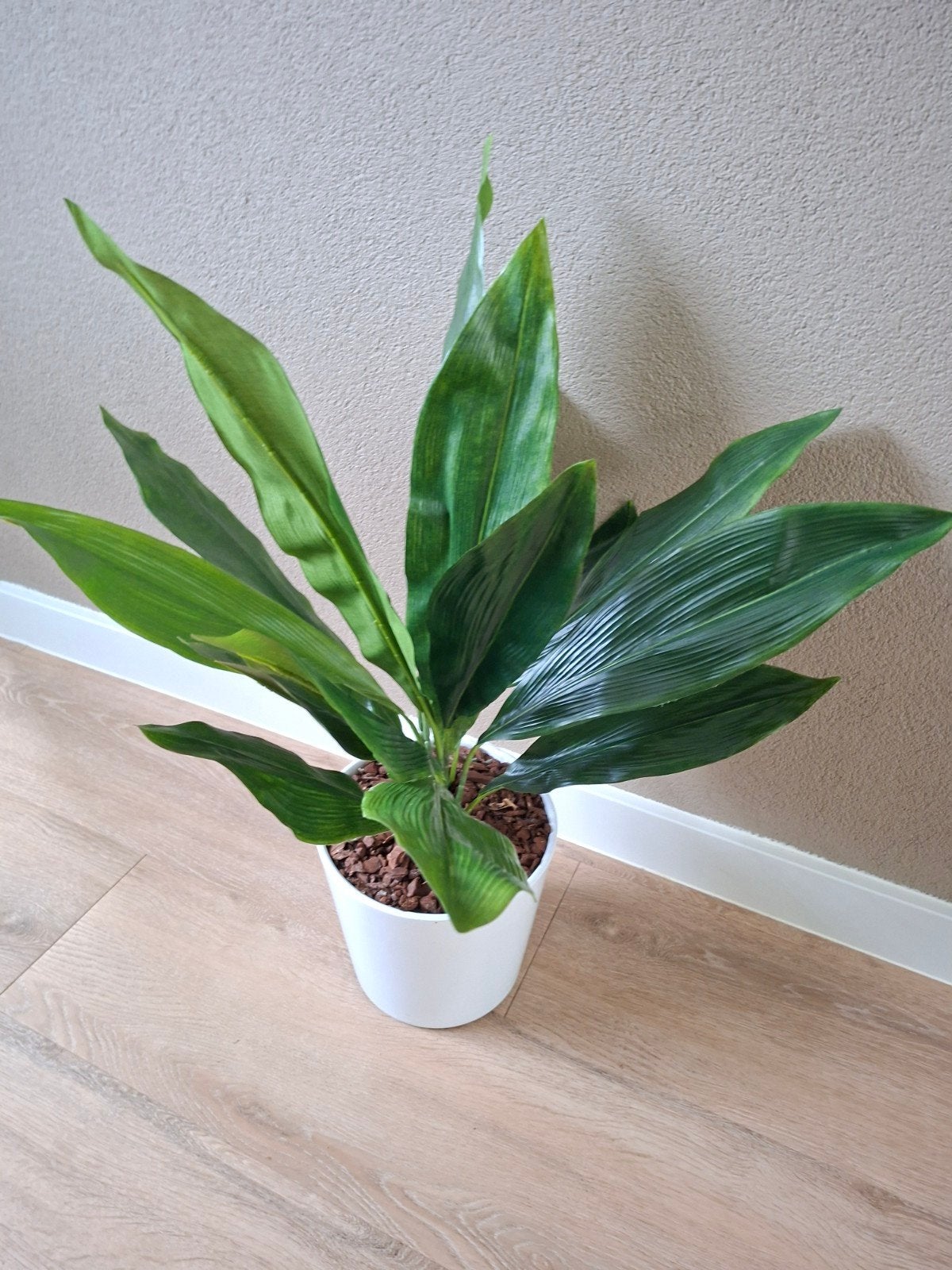 zijde Aspidistra in pot, Ophalen of Verzenden, Nieuw