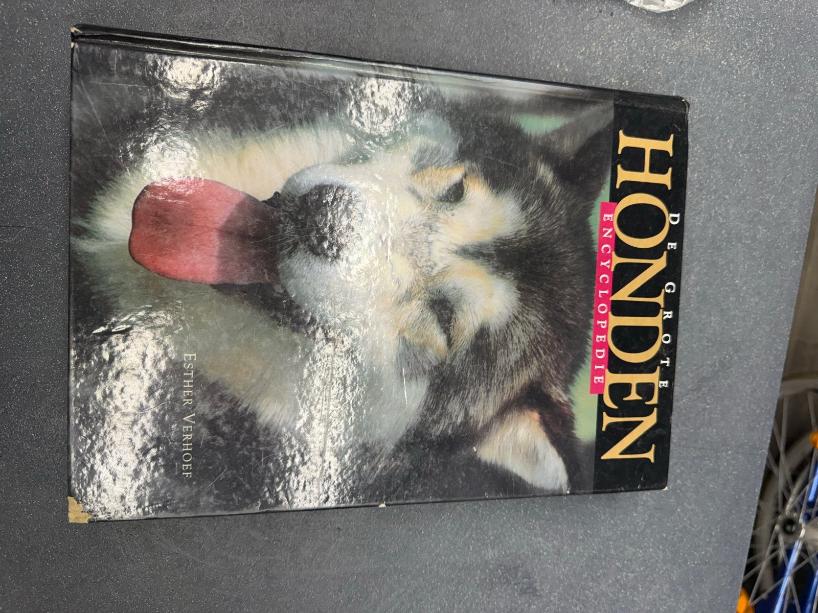 De Grote Honden Encyclopedie - Esther Verhoef, Ophalen of Verzenden, Gelezen, Dieren, Los deel