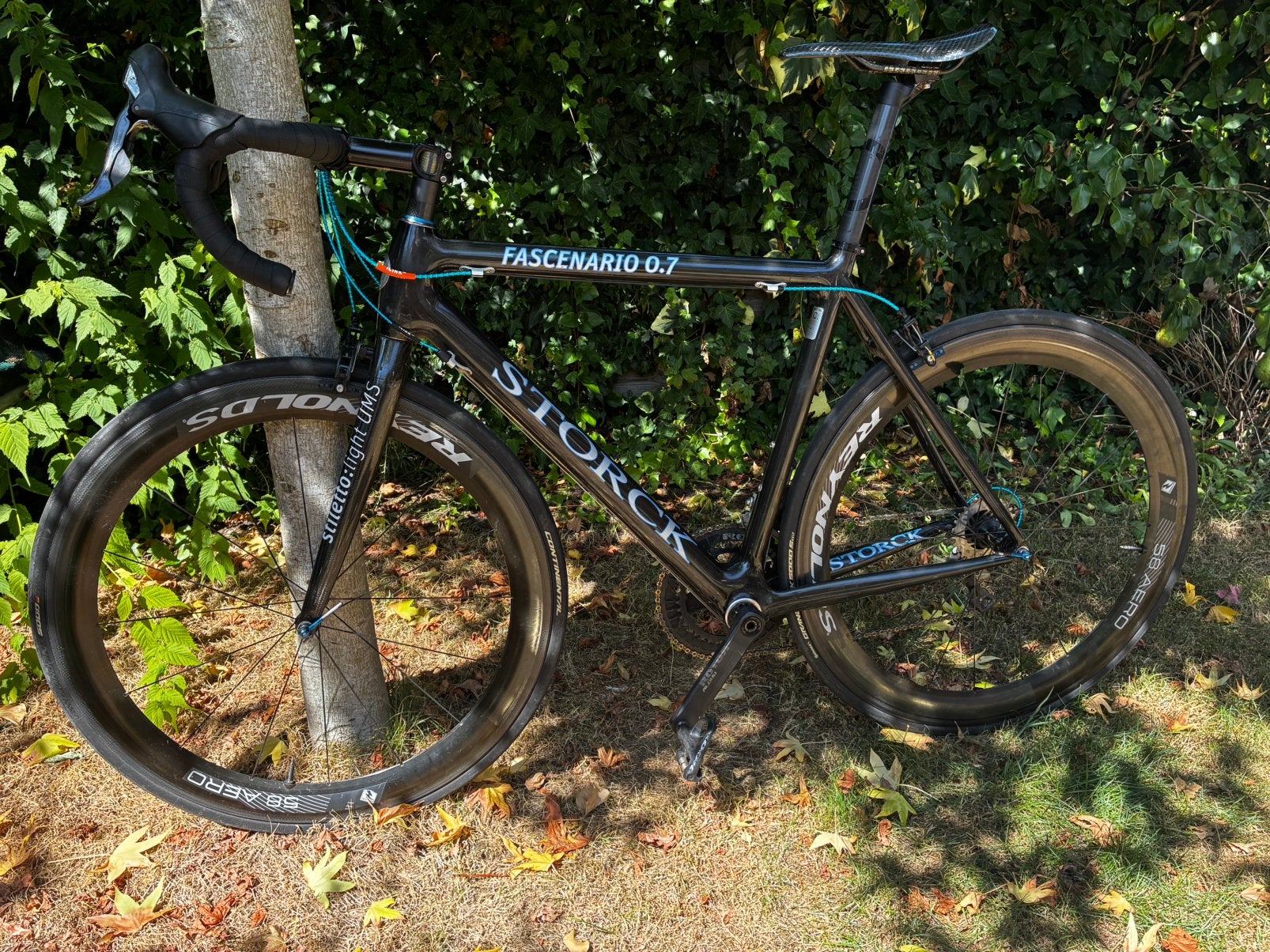 Storck Fascenario 0.7 - 57 cm, 28 inch, Gebruikt, Carbon, 15 tot 20 versnellingen
