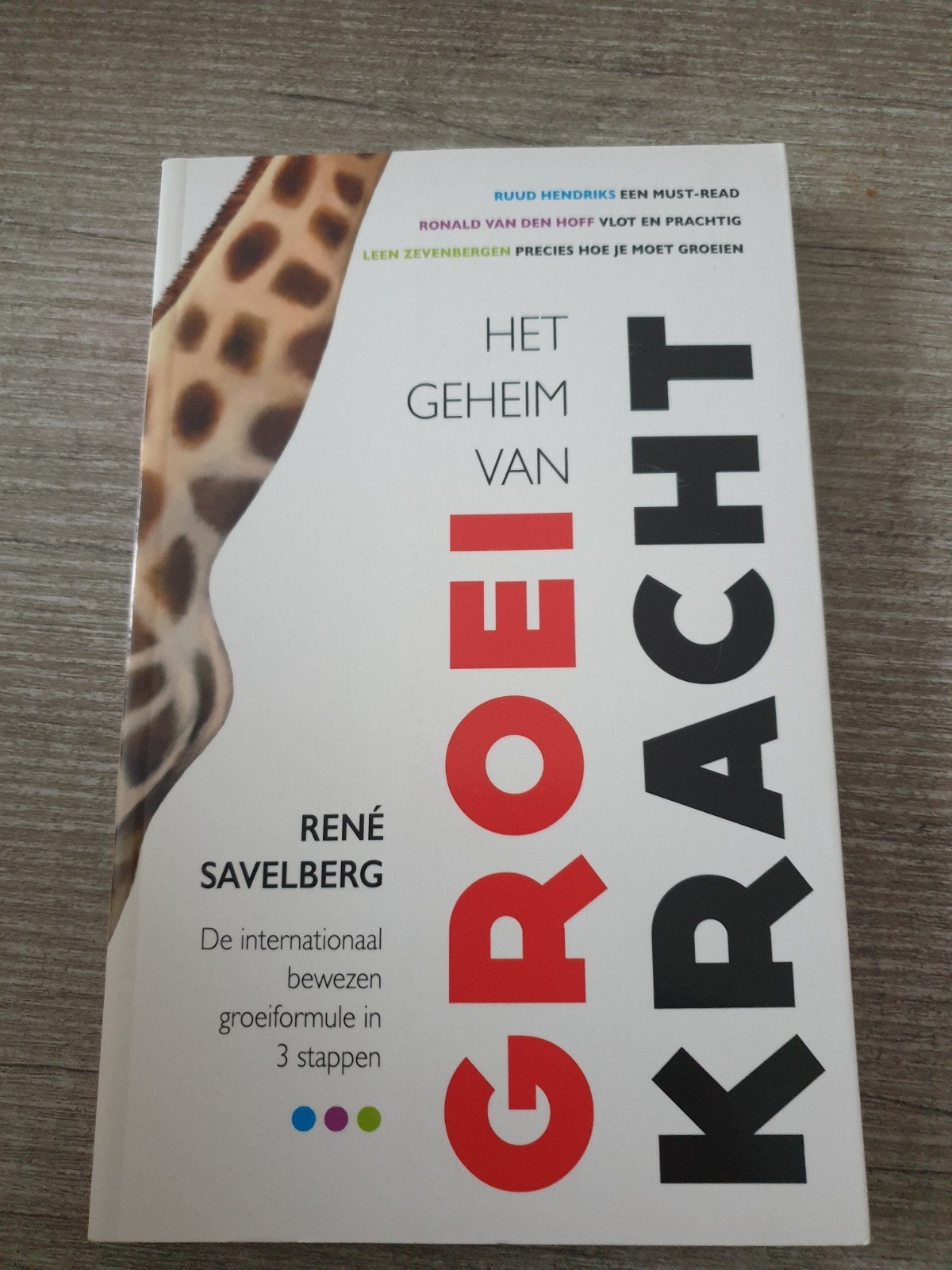 Het Geheim van Groeikracht - René Savelberg, Ophalen of Verzenden, Gelezen