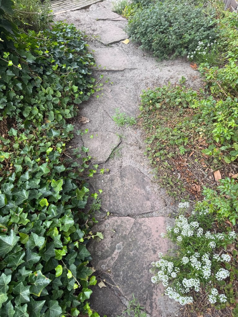 Flagstones natuursteen bestrating partij, Ophalen, Gebruikt, 5 tot 10 m², Natuursteen