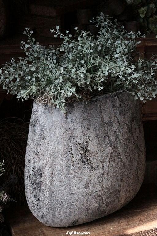 Vensterbankvaas compleet met groen en tillandsia, Www.jufbrocante.nl, Www.jufbrocante.nl, Nieuw, Ophalen of Verzenden