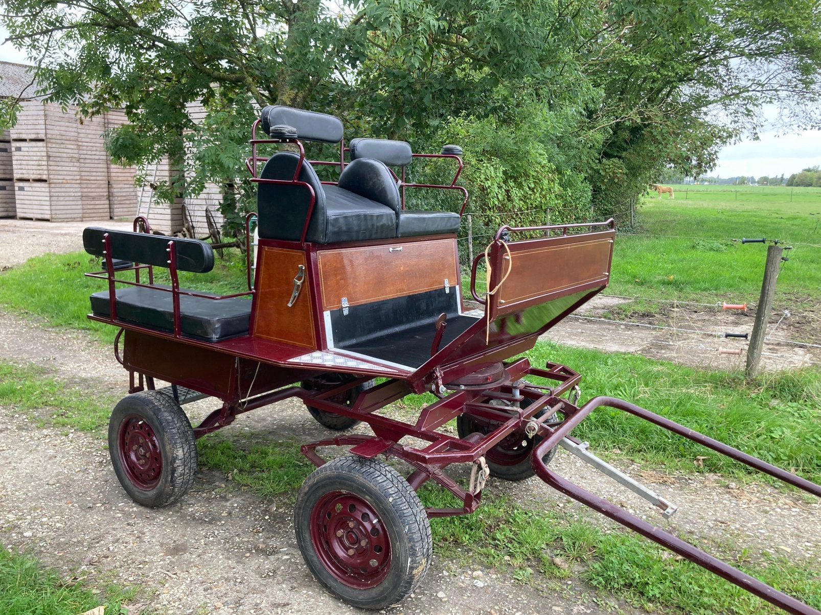 Mooie menwagen paard enkel en dubbelspan, Gebruikt, Marathonwagen, Paard