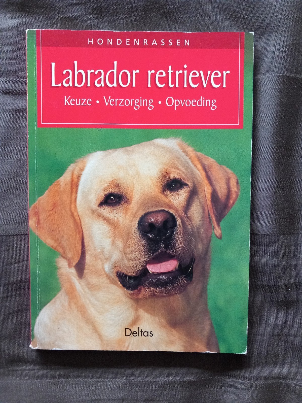 Hondenrassen: Labrador Retriever - Keuze, Verzorging, Opvoed, Ophalen of Verzenden, Gelezen, Honden, Onbekend