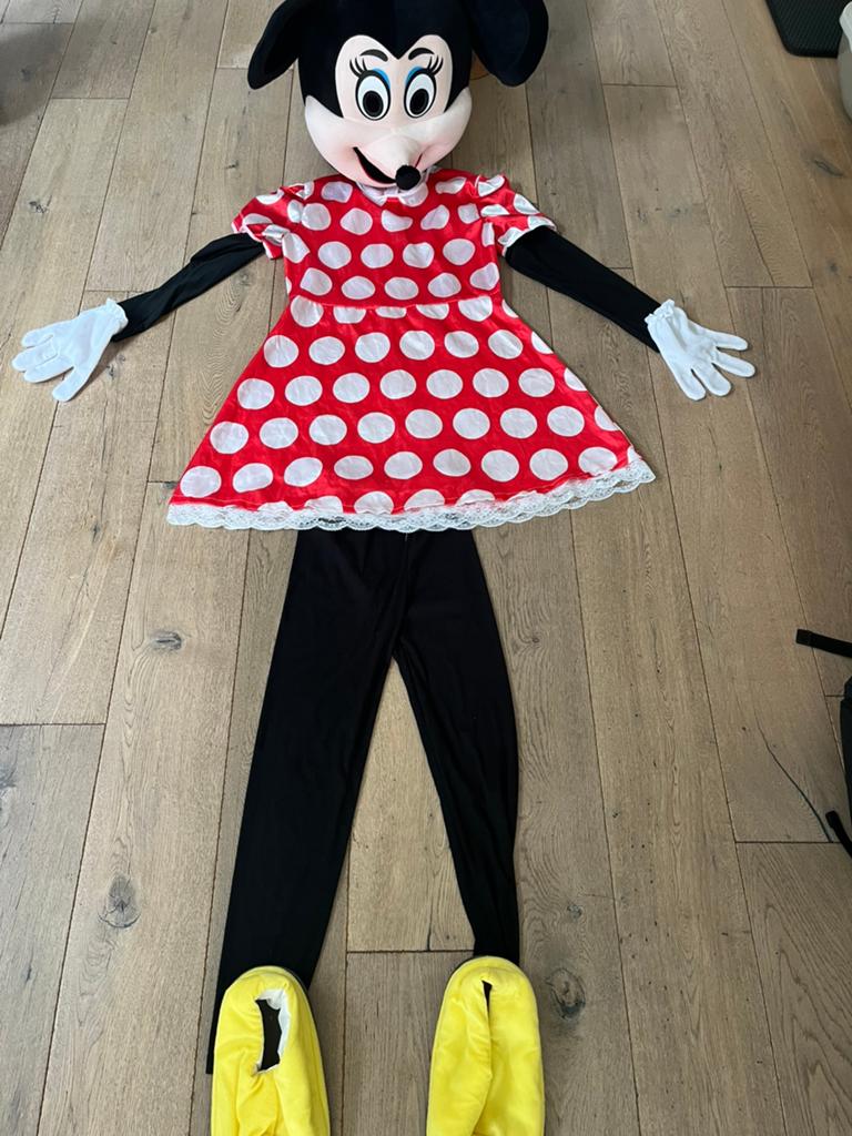 Minnie mascotte pak, Verzenden, Zo goed als nieuw, Carnaval