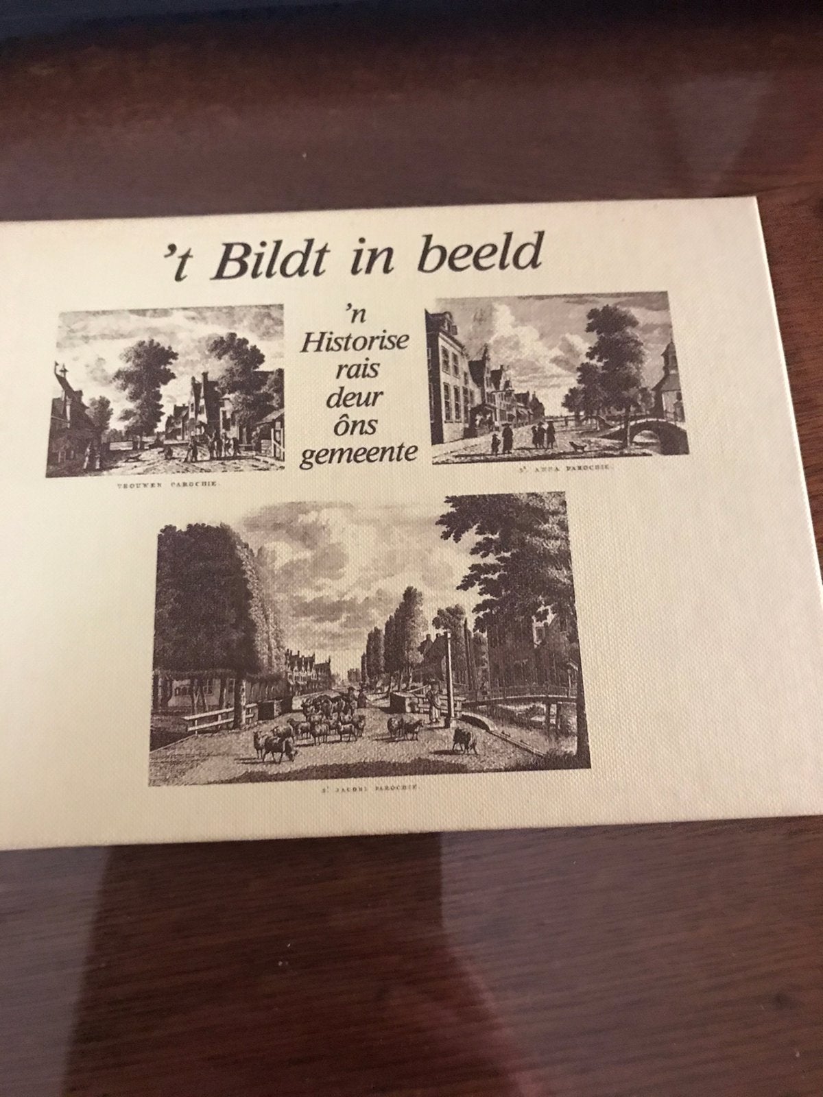 ‘T Bildt in beeld, Ophalen of Verzenden