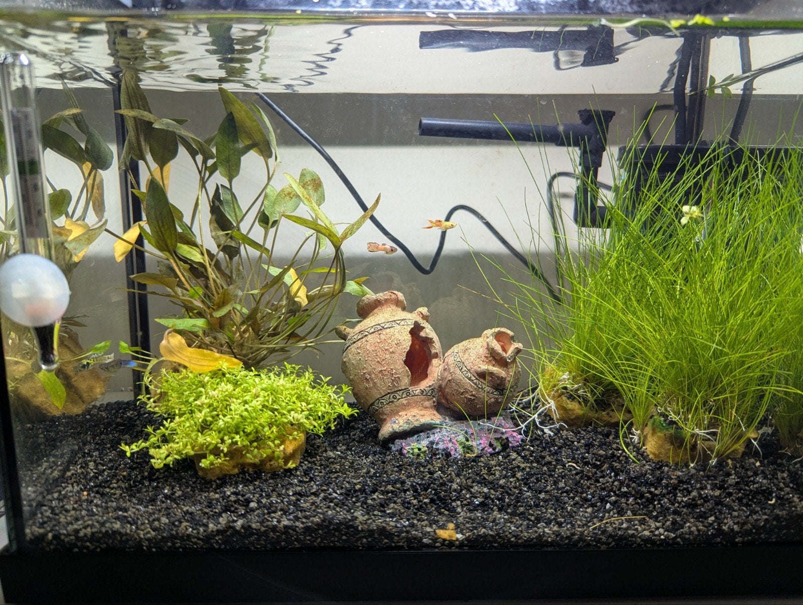 Superfish aquarium, Dieren en Toebehoren, Vissen | Aquaria en Toebehoren, Ophalen, Zo goed als nieuw, Leeg aquarium