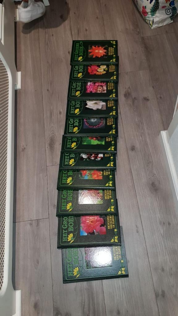 Bloemen en planten, Ophalen, Zo goed als nieuw, Bloemen en Planten