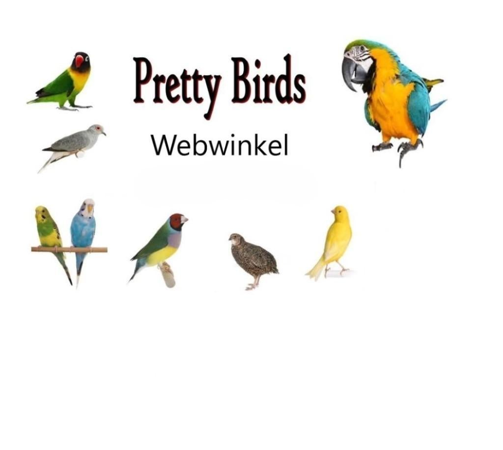 Pretty Birds Hellevoetsluis, Mannelijk