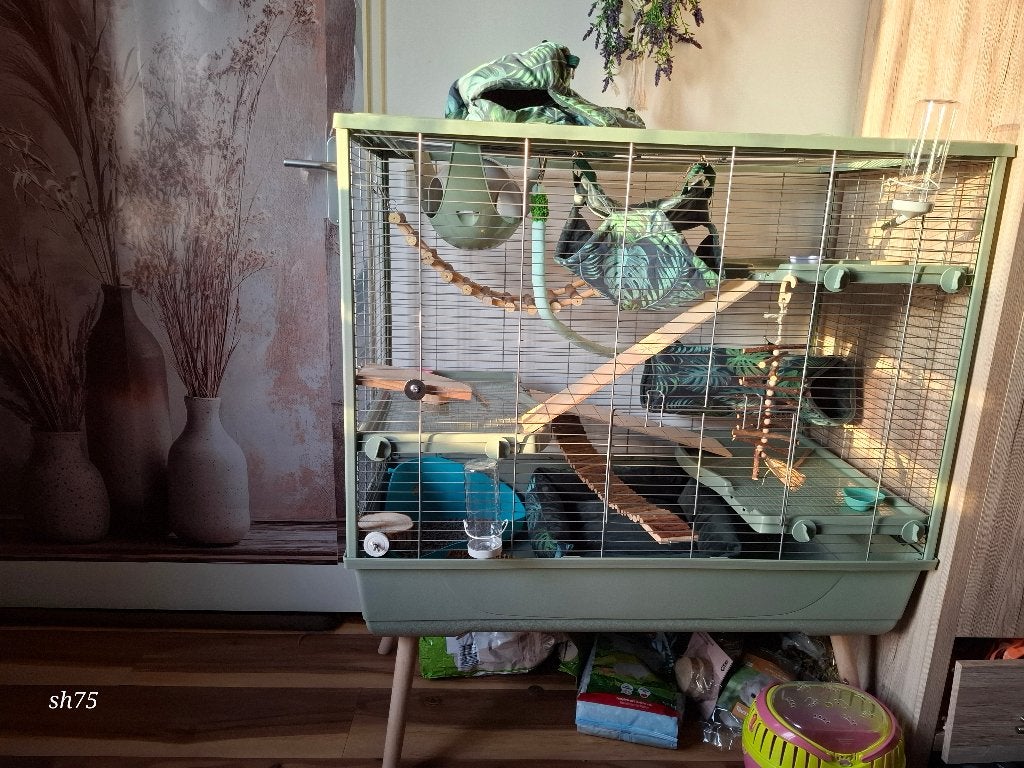 Rattenkooi, knaagdierkooi, Dieren en Toebehoren, Knaagdieren en Konijnen | Hokken en Kooien, Ophalen, 60 tot 90 cm, Zo goed als nieuw