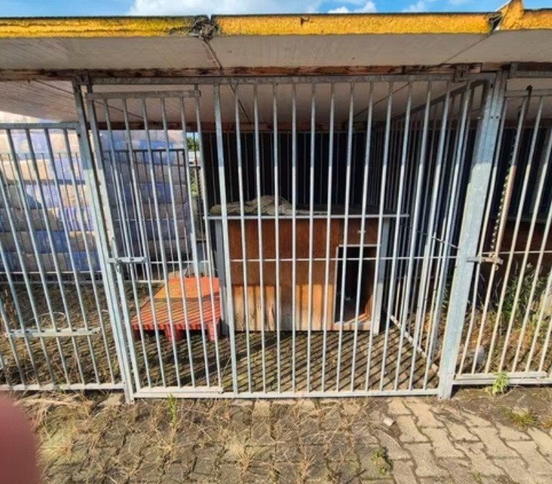 Dubbele hondenkennel met dak, Ophalen, Hondenkennel, 100 cm of meer, 110 cm of meer