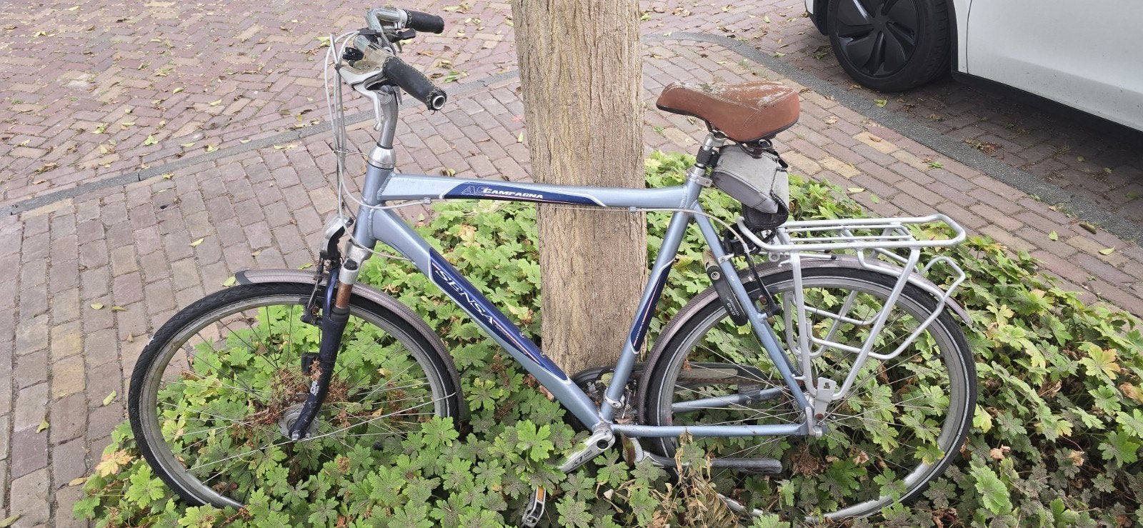 Herenfiets sensa campagna, opknapfiets, Ophalen, Gebruikt, Overige merken