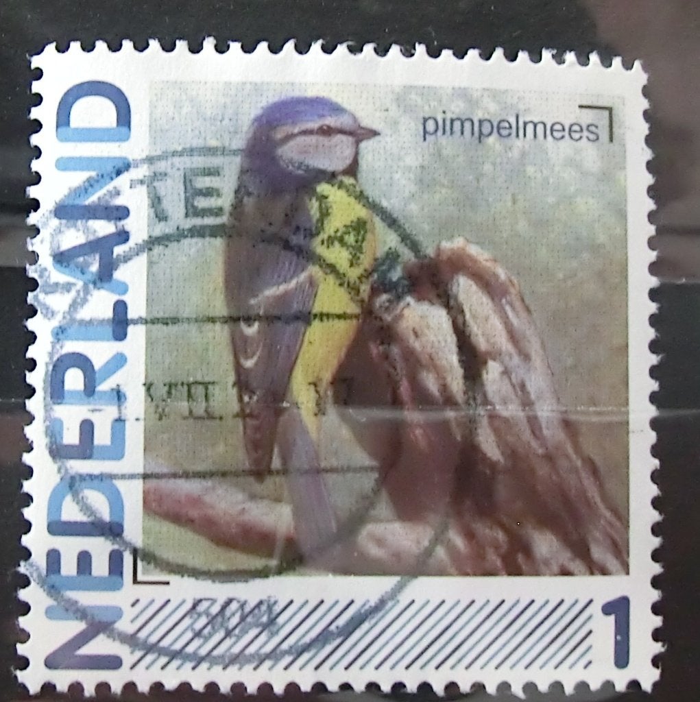 persoonlijke postzegel, Vogels, gest (lees aub), Ophalen of Verzenden, Na 1940, Gestempeld