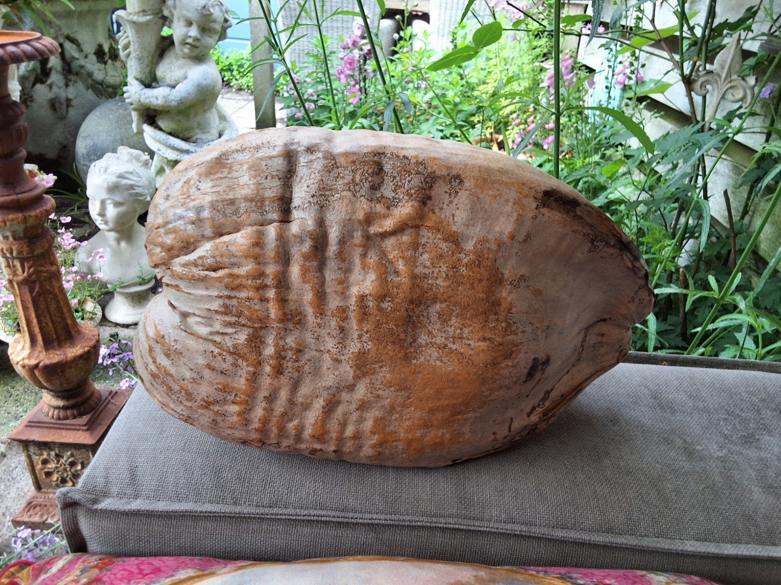 Grote oude origineel kokosnoot - uniek stuk design 35cm, Antiek en Kunst, Ophalen of Verzenden