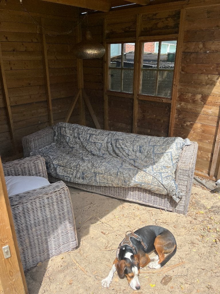 Tuinbank met tuinstoel rotan, Ophalen, Gebruikt, Rotan