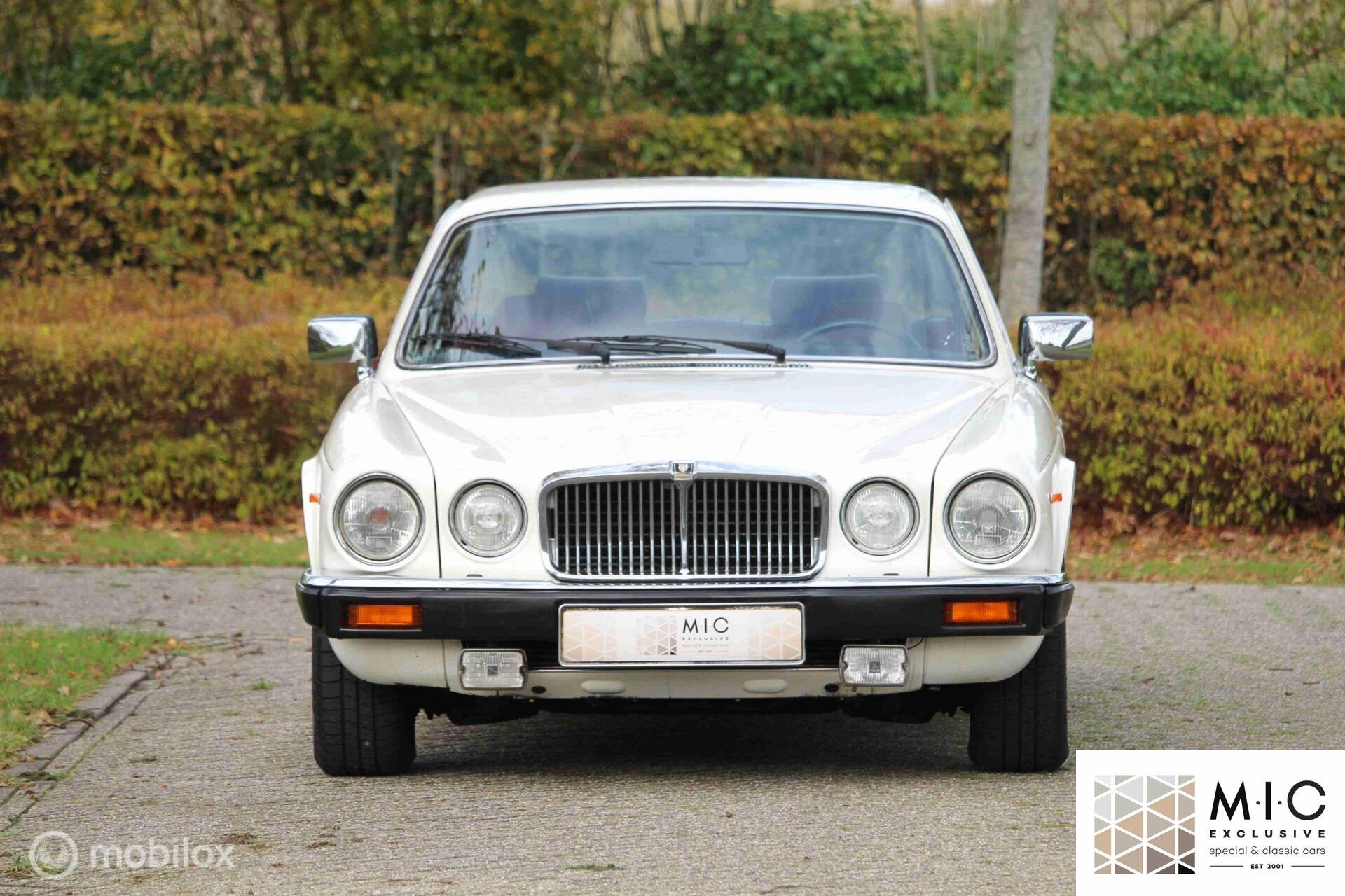Jaguar XJ 4.2 | origineel 98.000 km | Tudor White on Red, Auto's, Automaat, Achterwielaandrijving, Wit, Leder