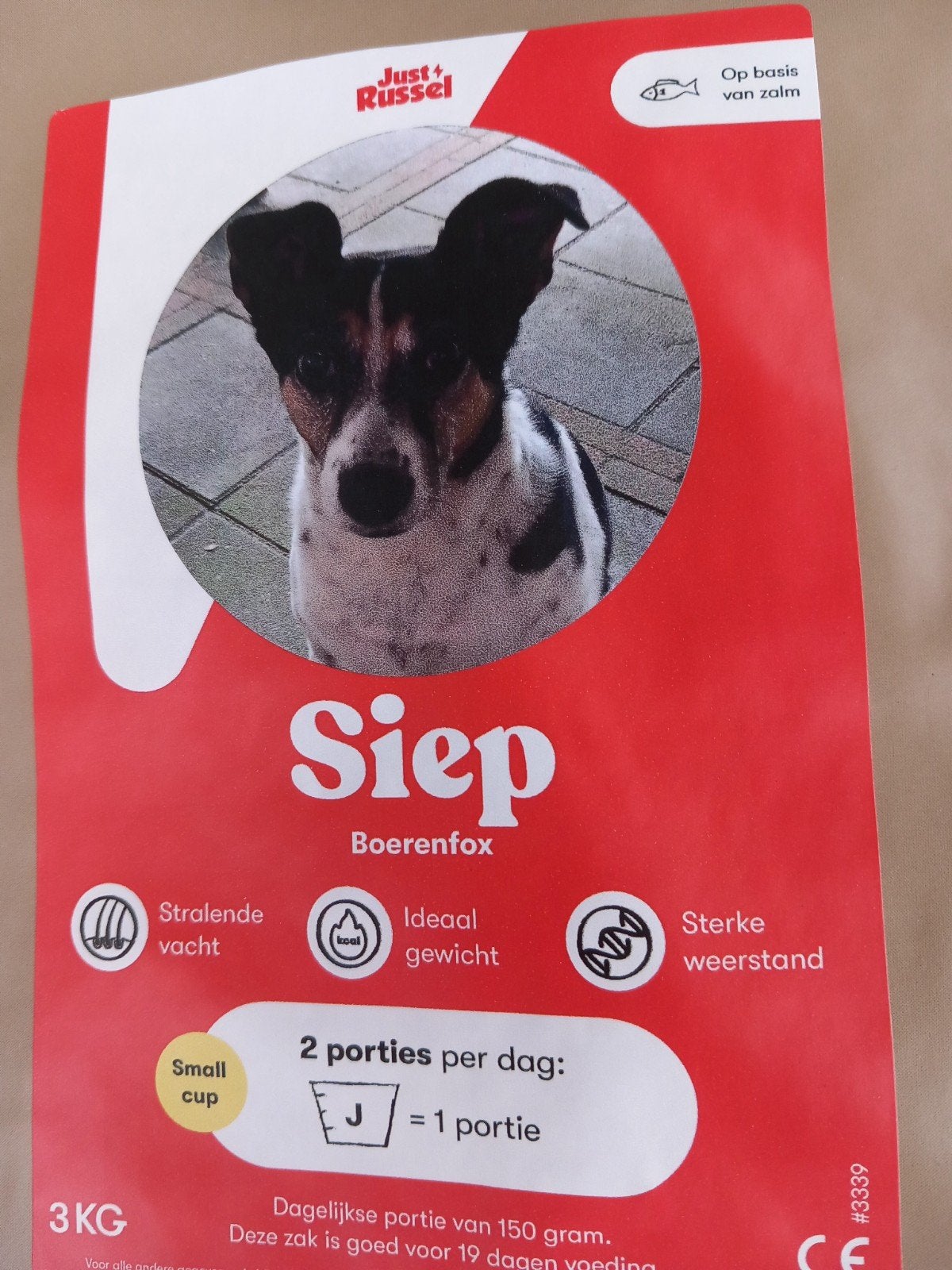 Just Russel op basis van zalm, Ophalen, Hond