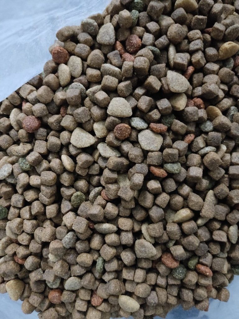 Restpartij Hondenvoer, Dieren en Toebehoren, Dierenvoeding, Hond, Ophalen