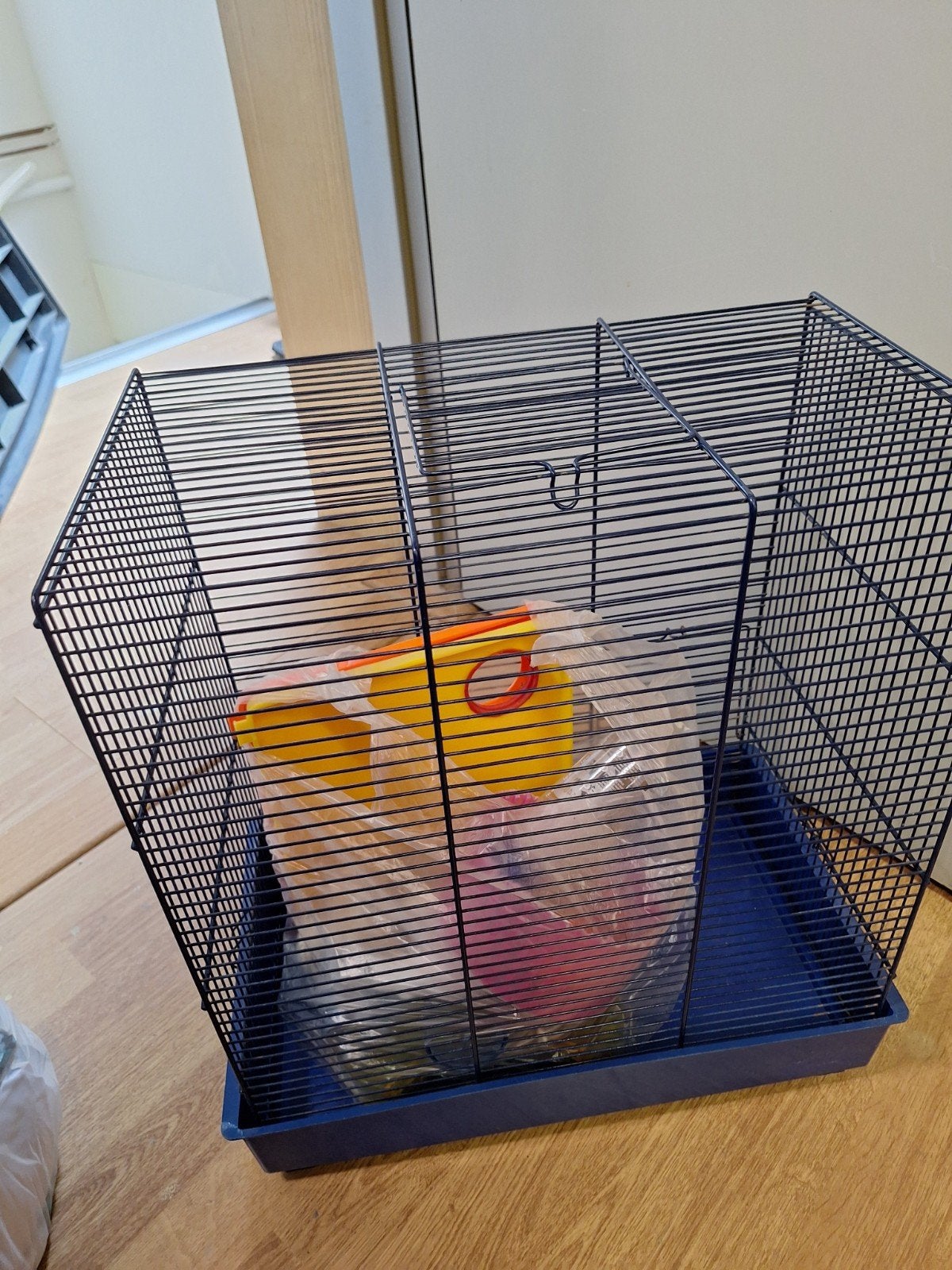 Hamsterkooi, Dieren en Toebehoren, Knaagdieren en Konijnen | Hokken en Kooien, Ophalen, Minder dan 75 cm, Kooi, Minder dan 60 cm