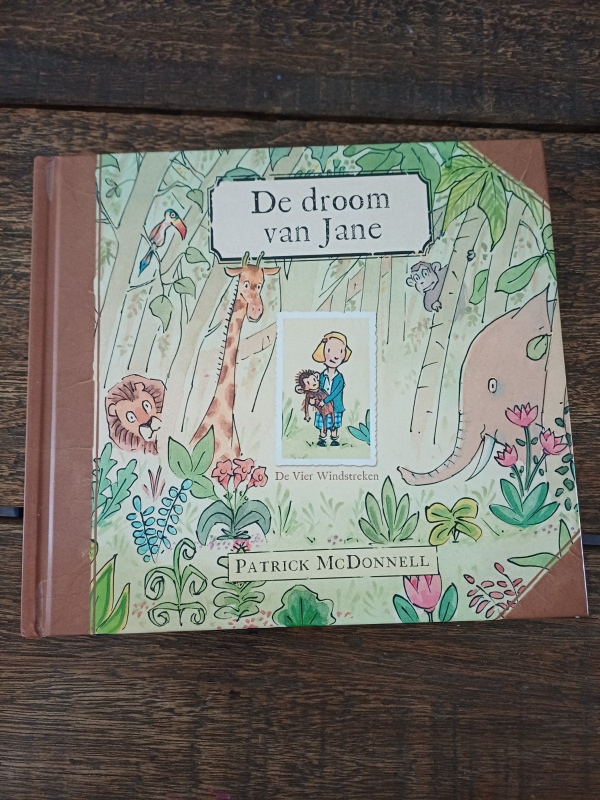 Patrick McDonnell - De droom van Jane, Boeken, Ophalen of Verzenden, Zo goed als nieuw, Patrick McDonnell