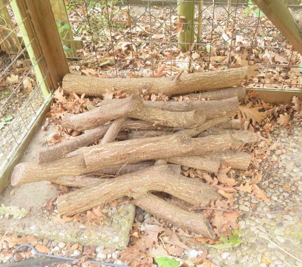 kachelhout, Minder dan 3 m³, Ophalen, Eikenhout, Stammen