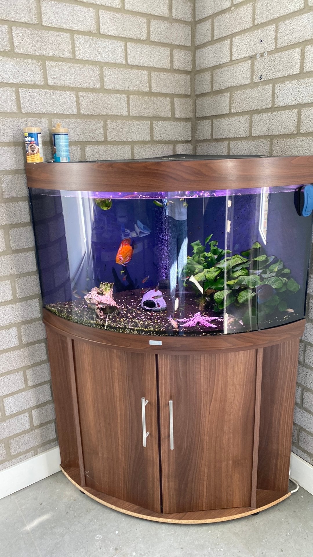 Aquarium + discussen (2 oranje, 2 blauw) + rest vissen, Dieren en Toebehoren, Ophalen, Gebruikt, Gevuld zoetwateraquarium