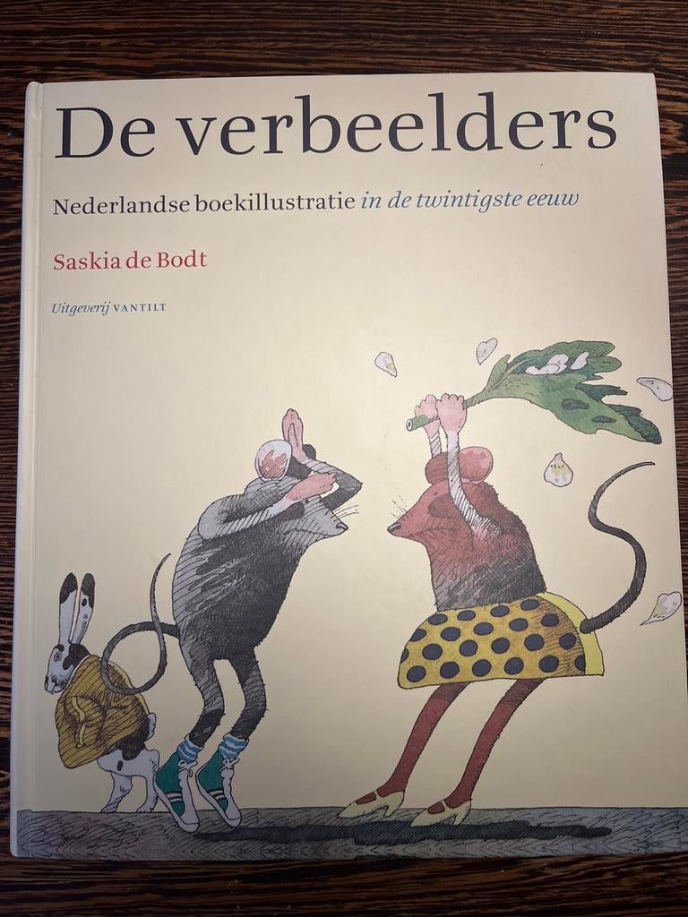 Saskia de Bodt - De verbeelders, Boeken, Ophalen of Verzenden, Zo goed als nieuw, Saskia de Bodt