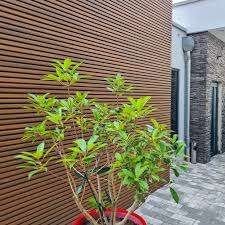 Weo35 Fiberdeck Ipe Gardenwall gevelbekleding 290-390, Tuin en Terras, Ophalen, Nieuw, 250 cm of meer, Planken