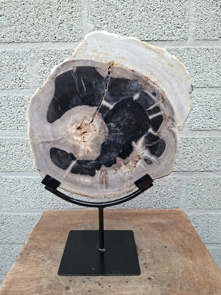 Versteend hout op standaard no E, Ophalen of Verzenden, Mineraal