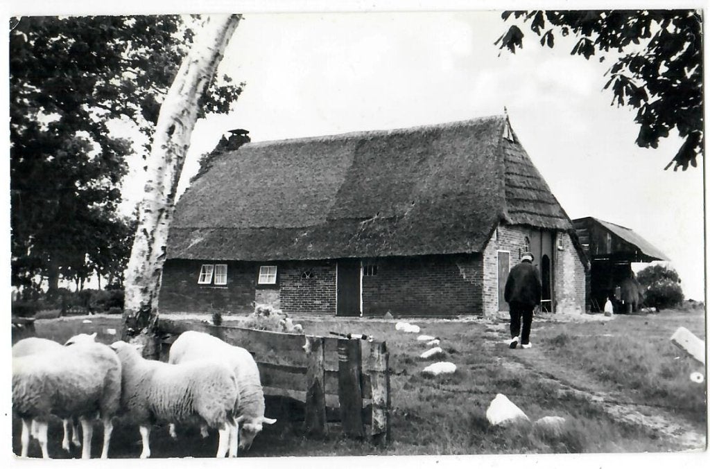 Oud Drents boerderijtje, Verzenden, 1960 tot 1980, Gelopen, Drenthe