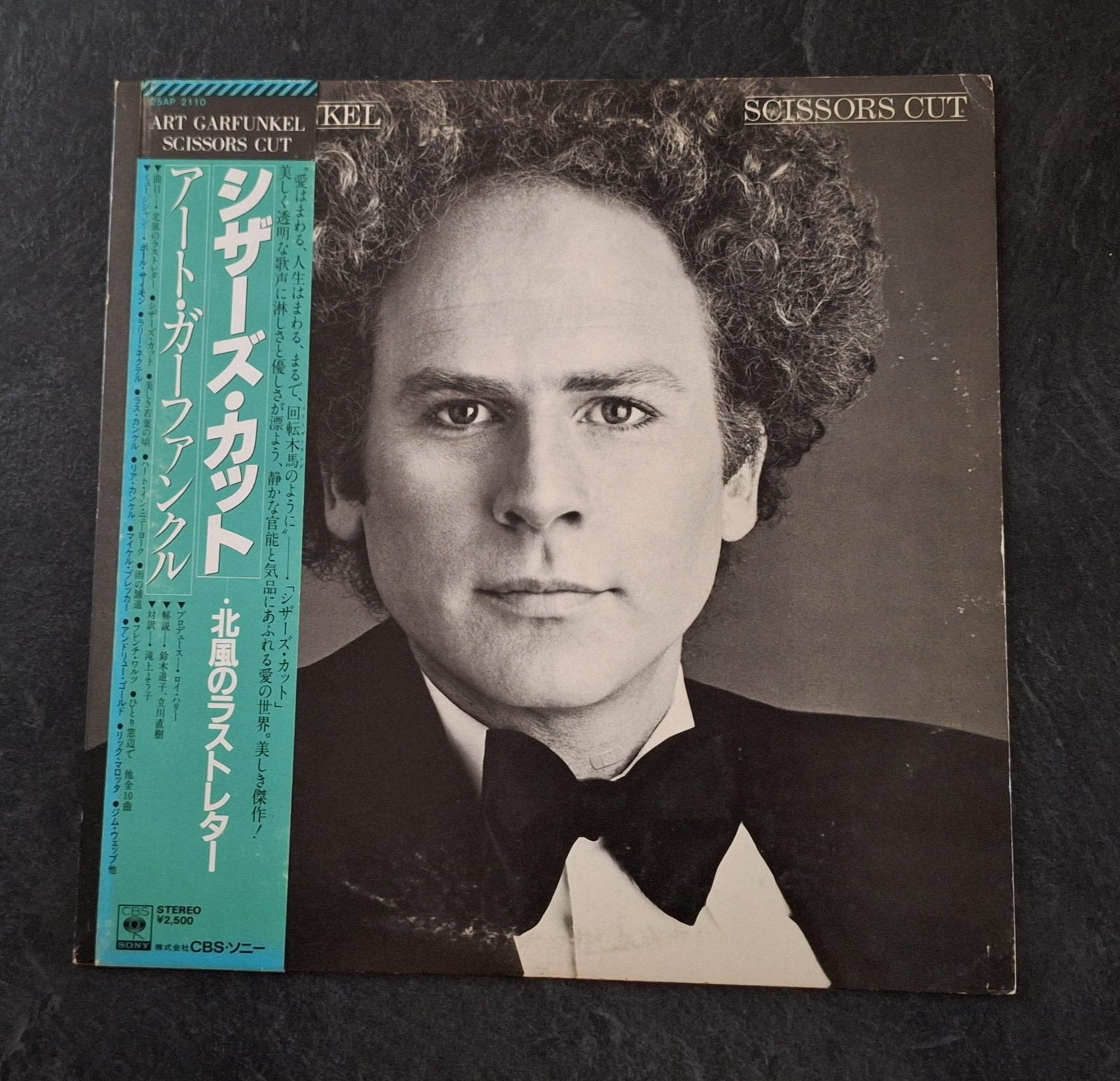 Art Garfunkel. Scissors Cut. 1981 Japan., Kamermuziek, Ophalen of Verzenden, Zo goed als nieuw, 12 inch