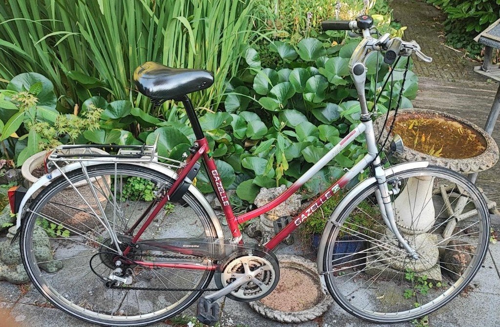 Gazelle Geneve dames Framemaat 54 Shimano 400CX, Ophalen, Velgrem, Versnellingen, Gazelle
