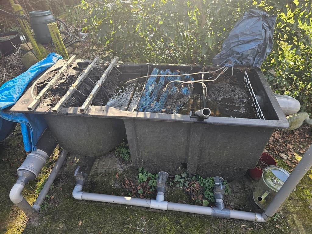 Kompleet borstel bak, kweek bak, uv lamp i, Ophalen of Verzenden, Overige typen