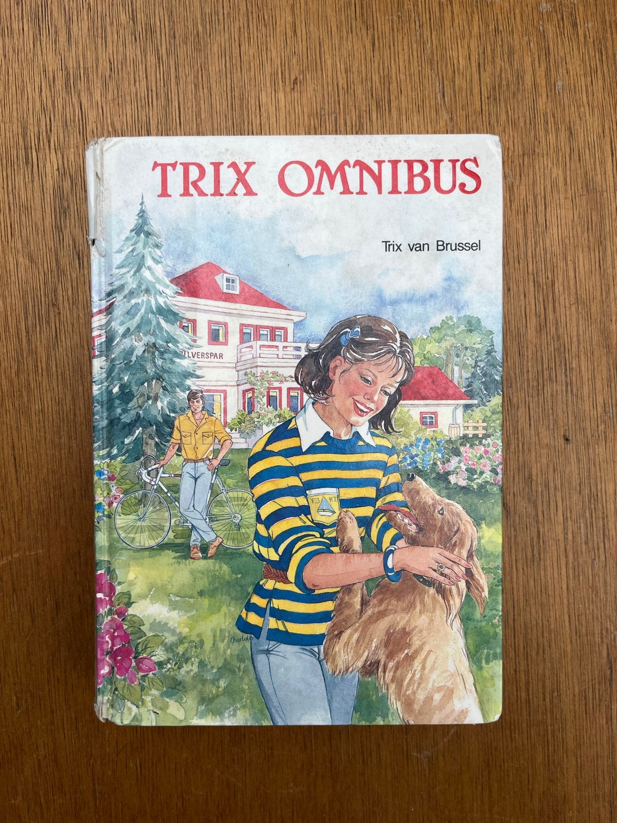 Trix Omnibus - Trix van Brussel, Ophalen of Verzenden, Gelezen, Fictie algemeen