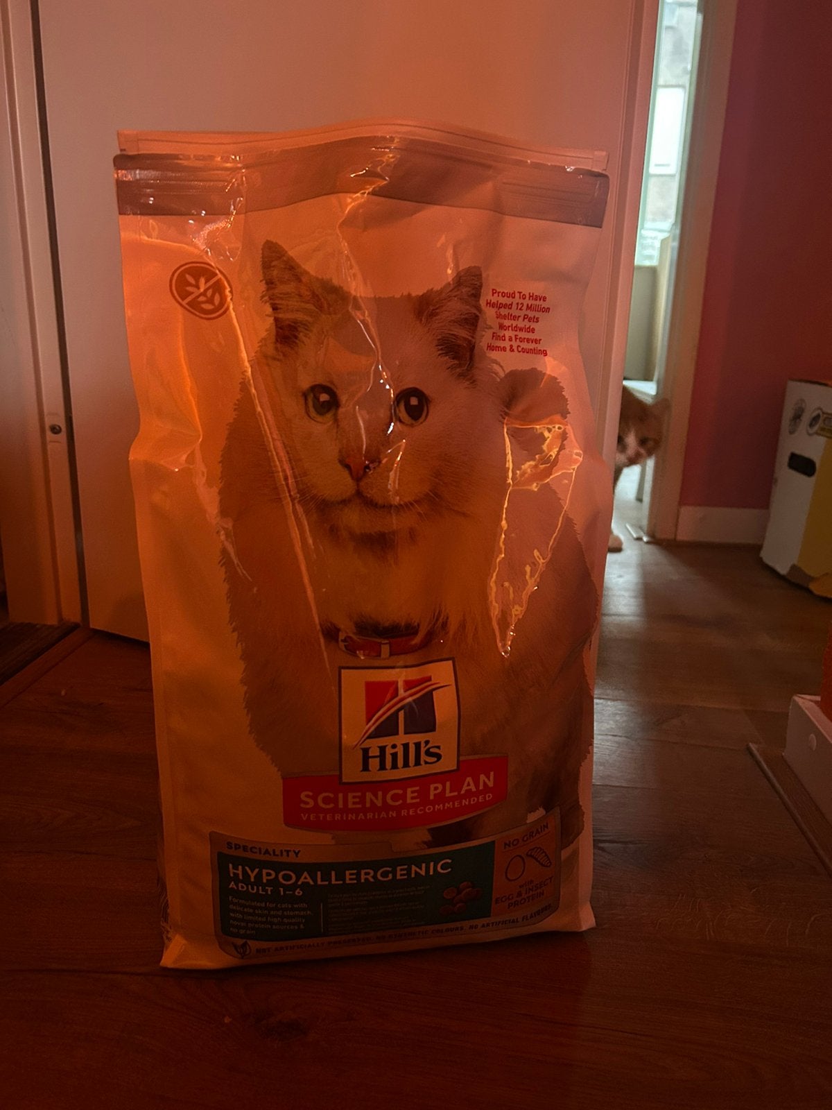 Hills hypoallergenic kattenvoer, Dieren en Toebehoren, Ophalen, Kat