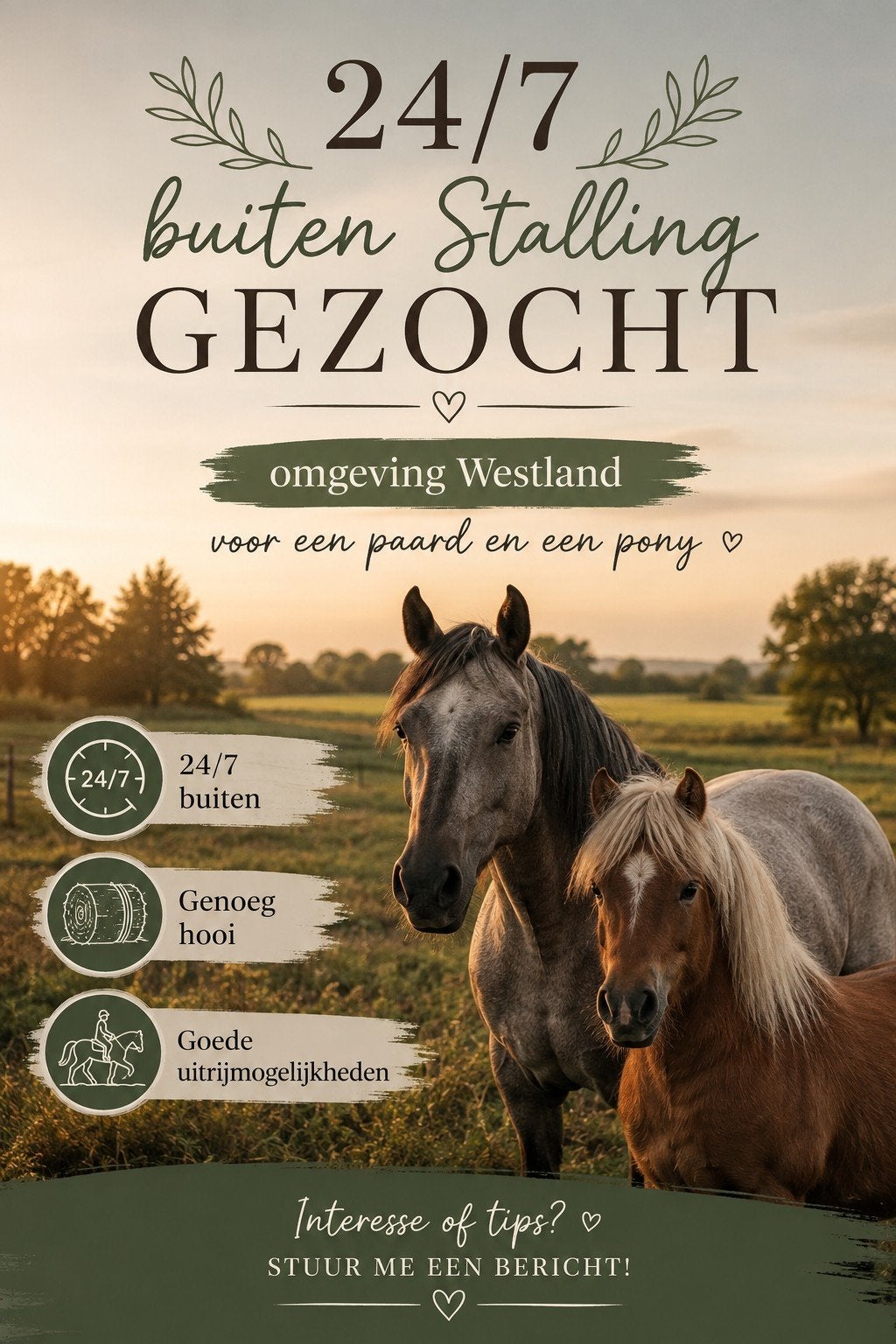 24/7 buiten stalling Gezocht in monster en daarom heen., Weidegang, 2 of 3 paarden of pony's