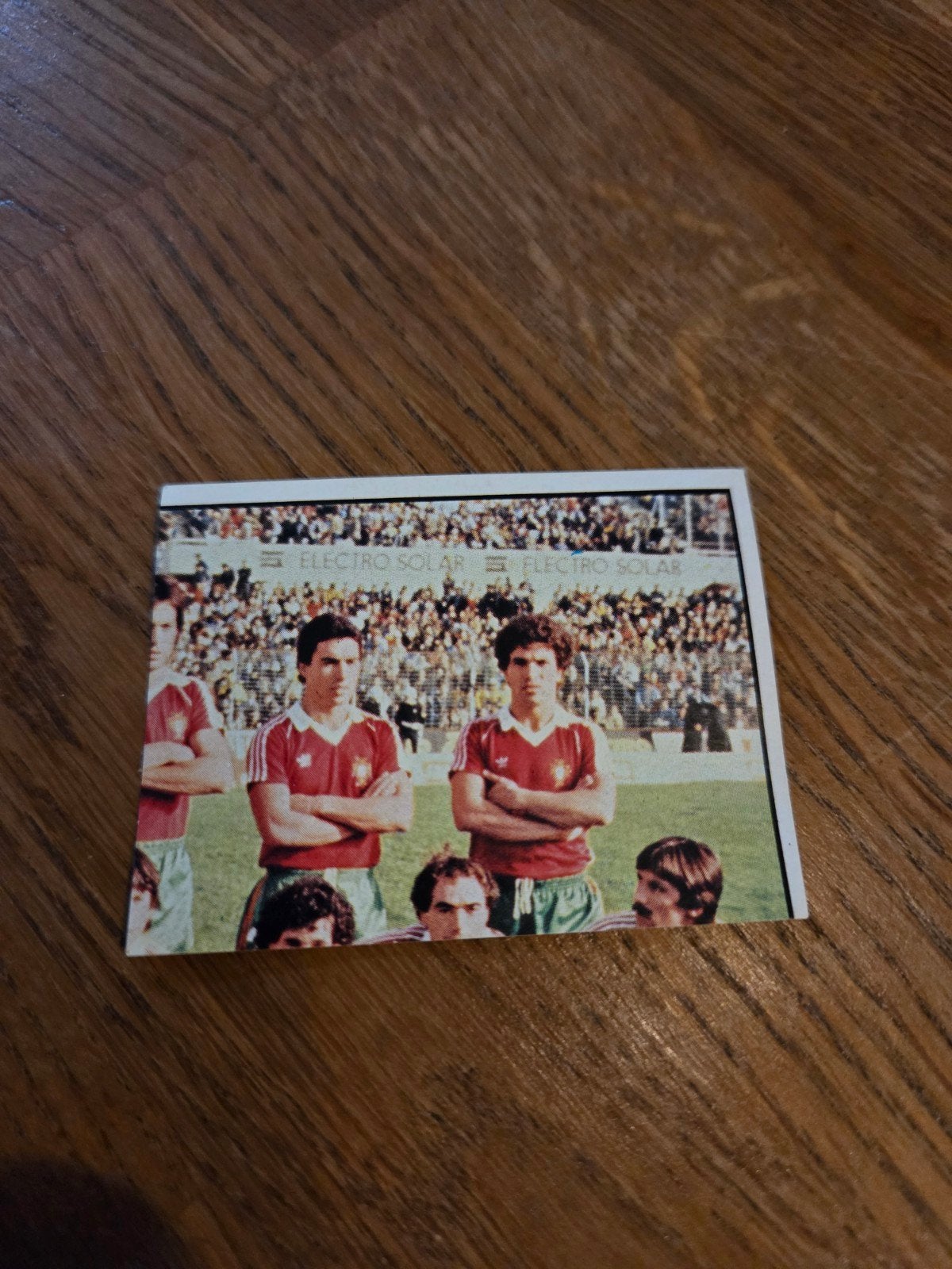 Panini EK 84, Ophalen of Verzenden, Zo goed als nieuw, Sticker