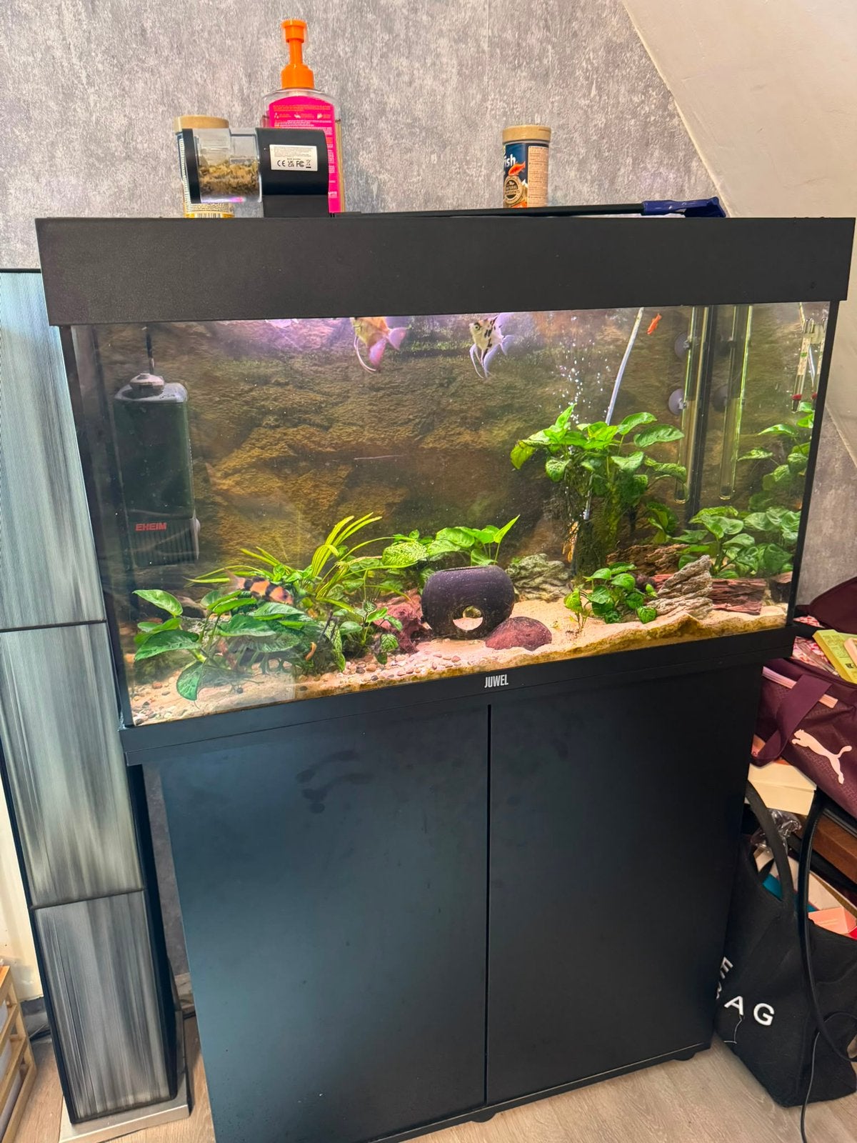 Juwel aquarium incl vissen, Dieren en Toebehoren, Vissen | Aquaria en Toebehoren, Ophalen, Zo goed als nieuw, Gevuld zoetwateraquarium