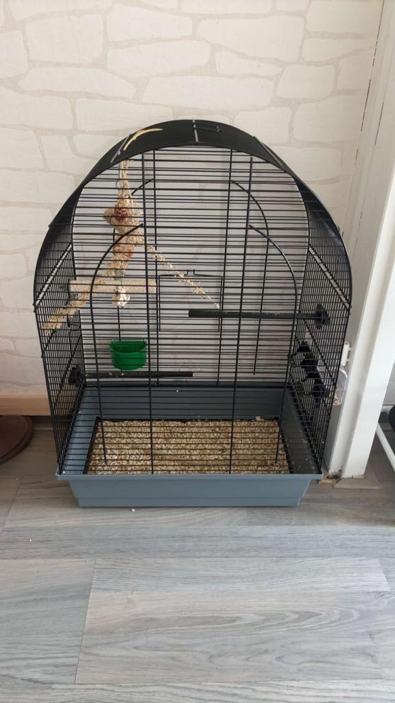 Kooi, Dieren en Toebehoren, Vogels | Hokken en Kooien, Ophalen of Verzenden, Zo goed als nieuw, Metaal, Vogelkooi