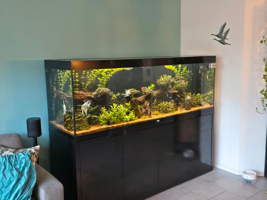 Aquatlantis Sublime 200x60 Aquarium met onderkast, Dieren en Toebehoren, Vis